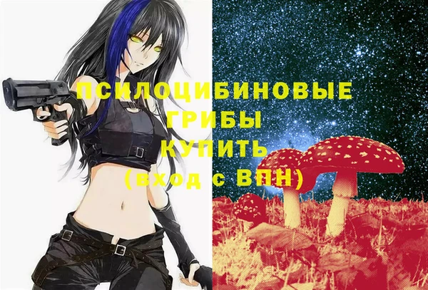 хмурый Абинск