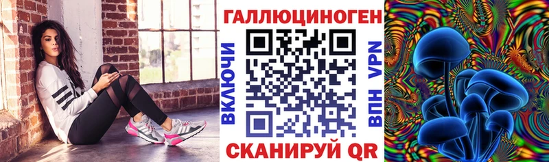 купить наркотики цена  Тында  Галлюциногенные грибы GOLDEN TEACHER 